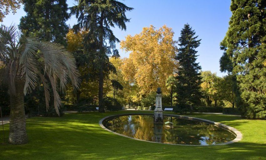 Real Jardín Botánico de Madrid