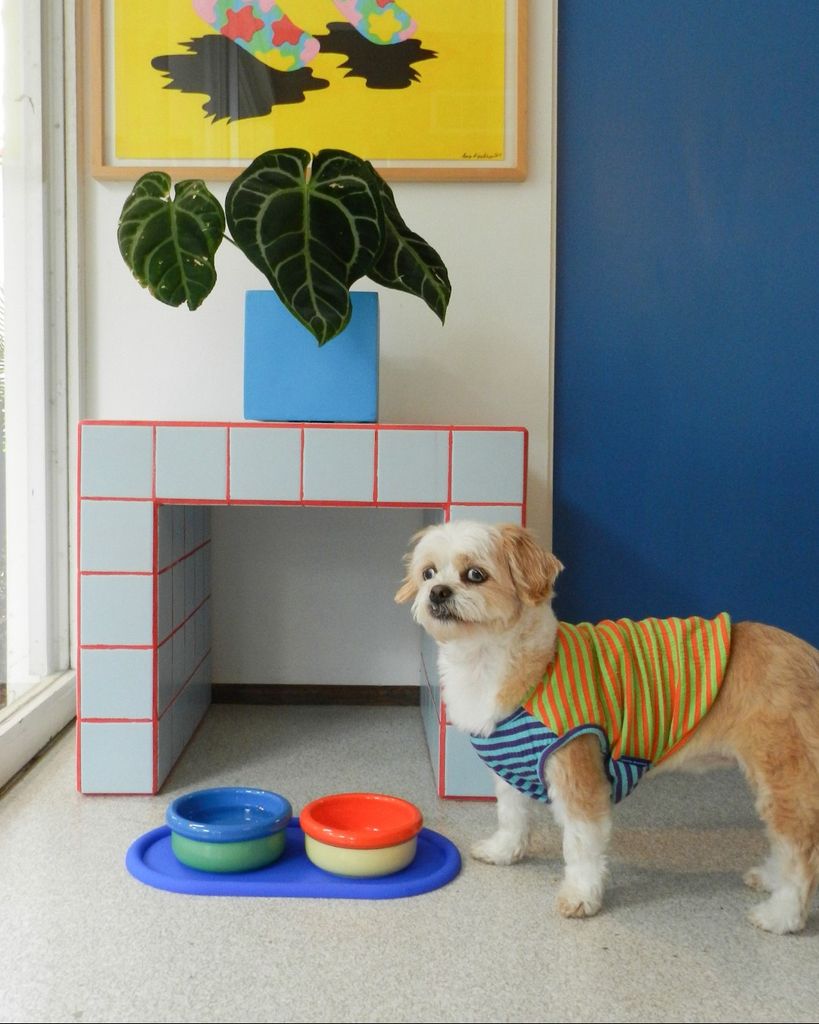 Comedero para mascotas