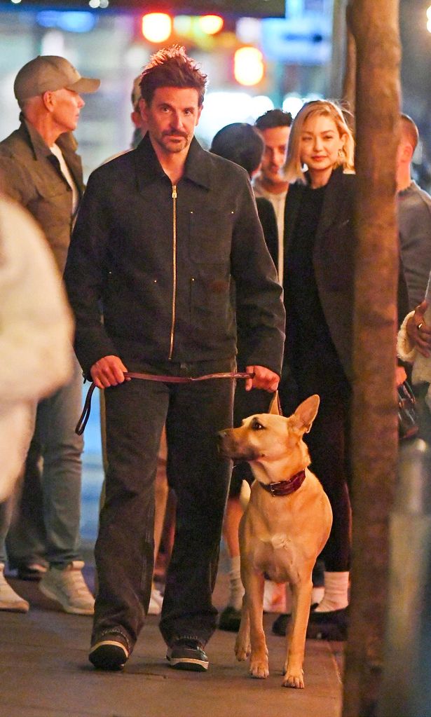 gigi hadid y bradley cooper