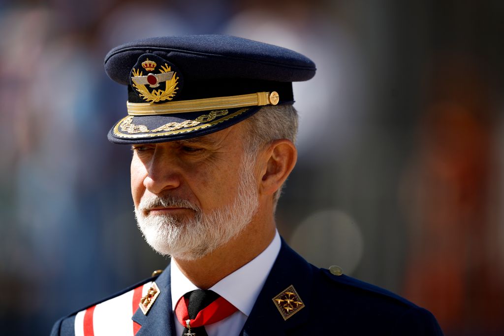 Tal y como ha dicho el comunicado de Casa Real, Felipe VI está preocupado y pendiente del incendio de Los Gallardos