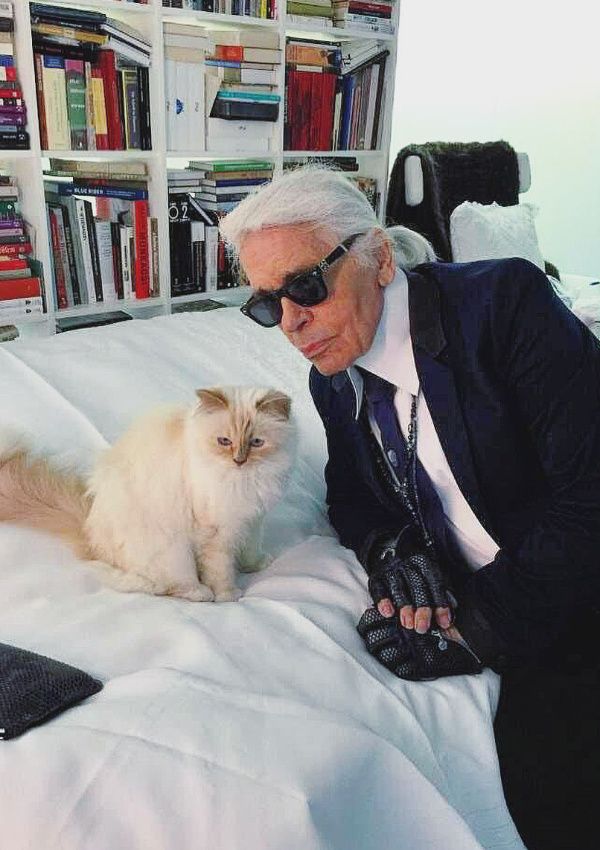 Choupette, la gata de Karl Lagerfeld