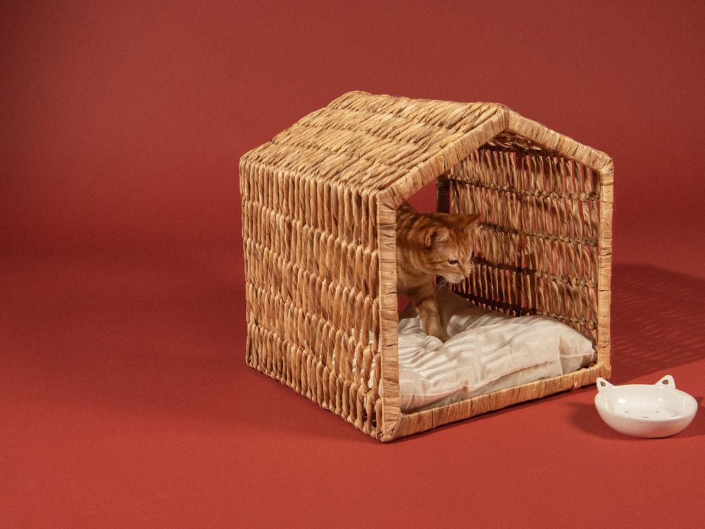 Cama para gatos