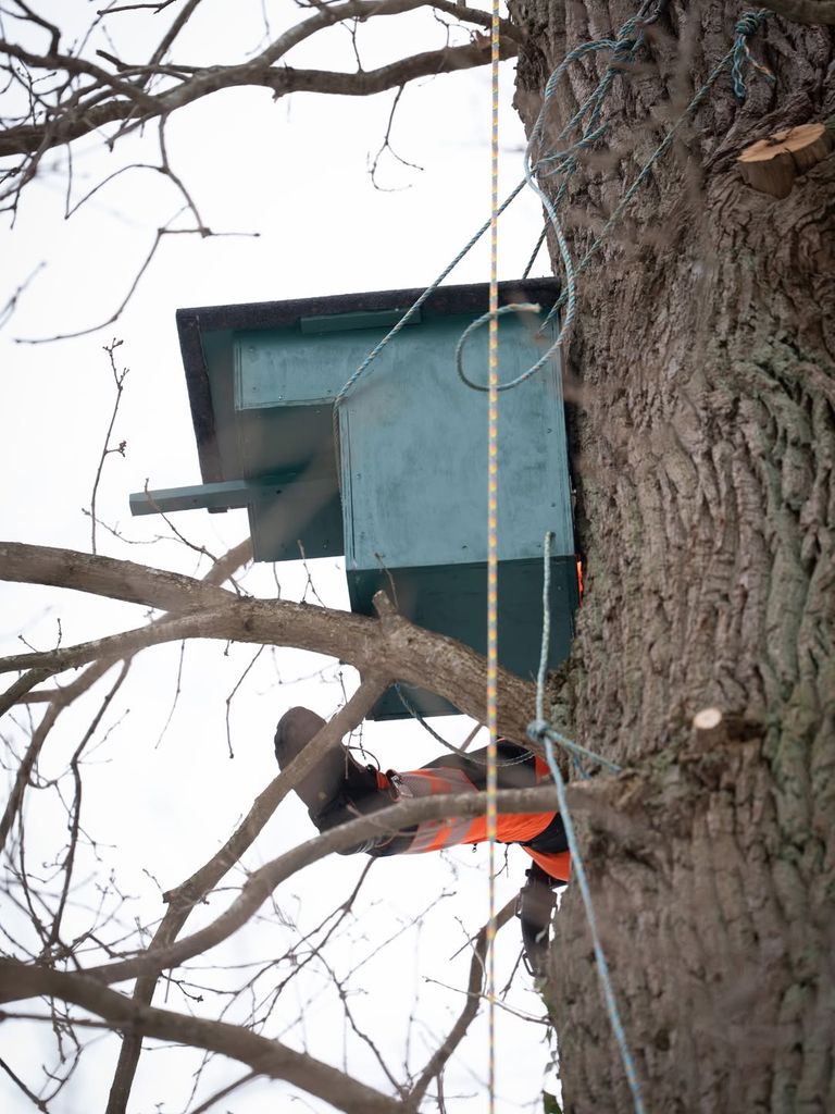 Instalación de 'apartamentos búho' en el Palacio de Fredensborg, donde pasan largas temporadas en primavera y otoño la familia real danesa