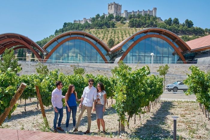 3 planes de verano con vinos de Protos