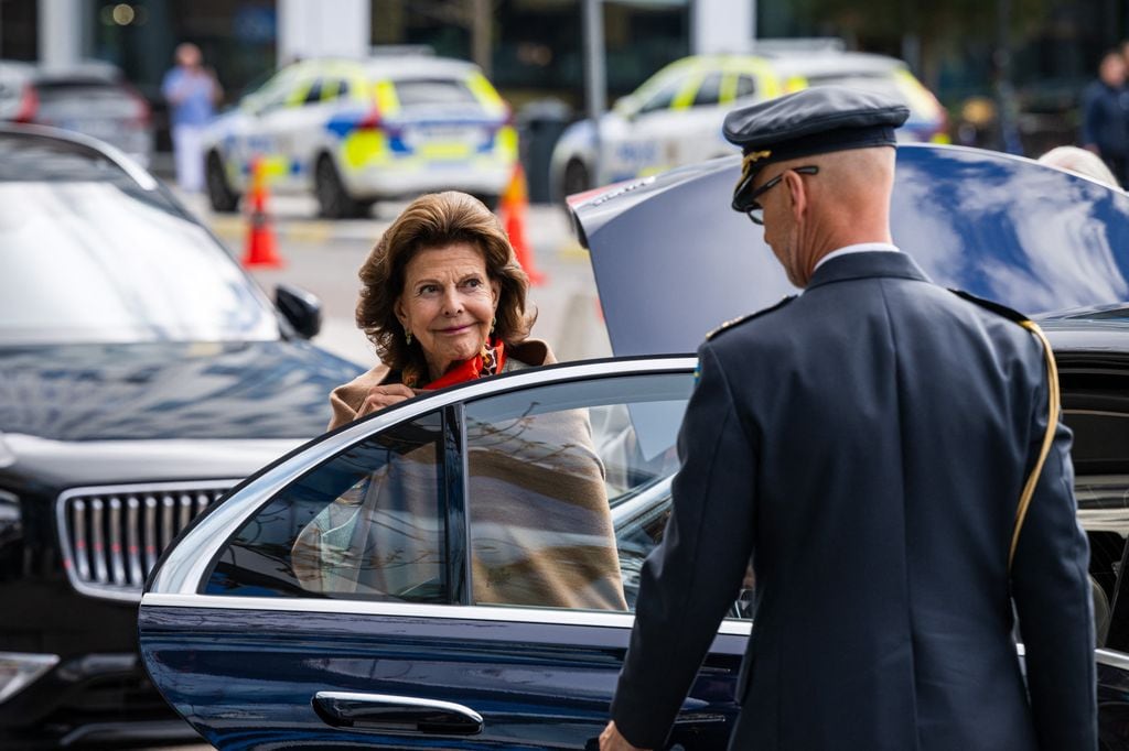 La reina Silvia es la fundadora de una organización de protección a la infancia