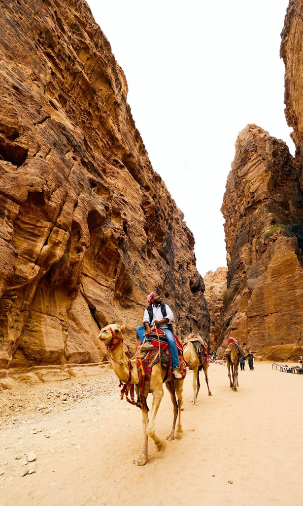 VIAJES PETRA, JORDANIA