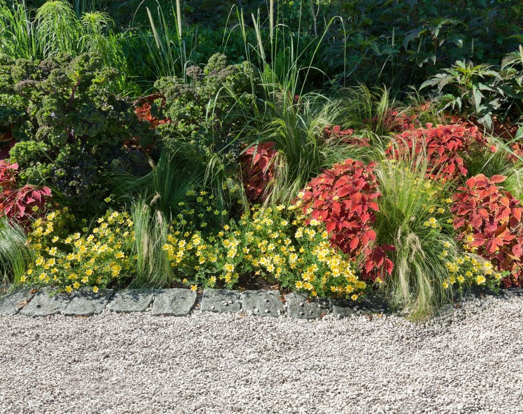 Flores de jardín