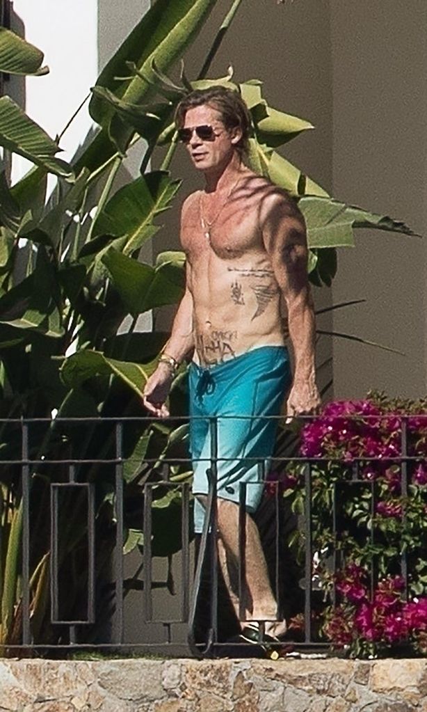 HOLA 4094 Brad Pitt