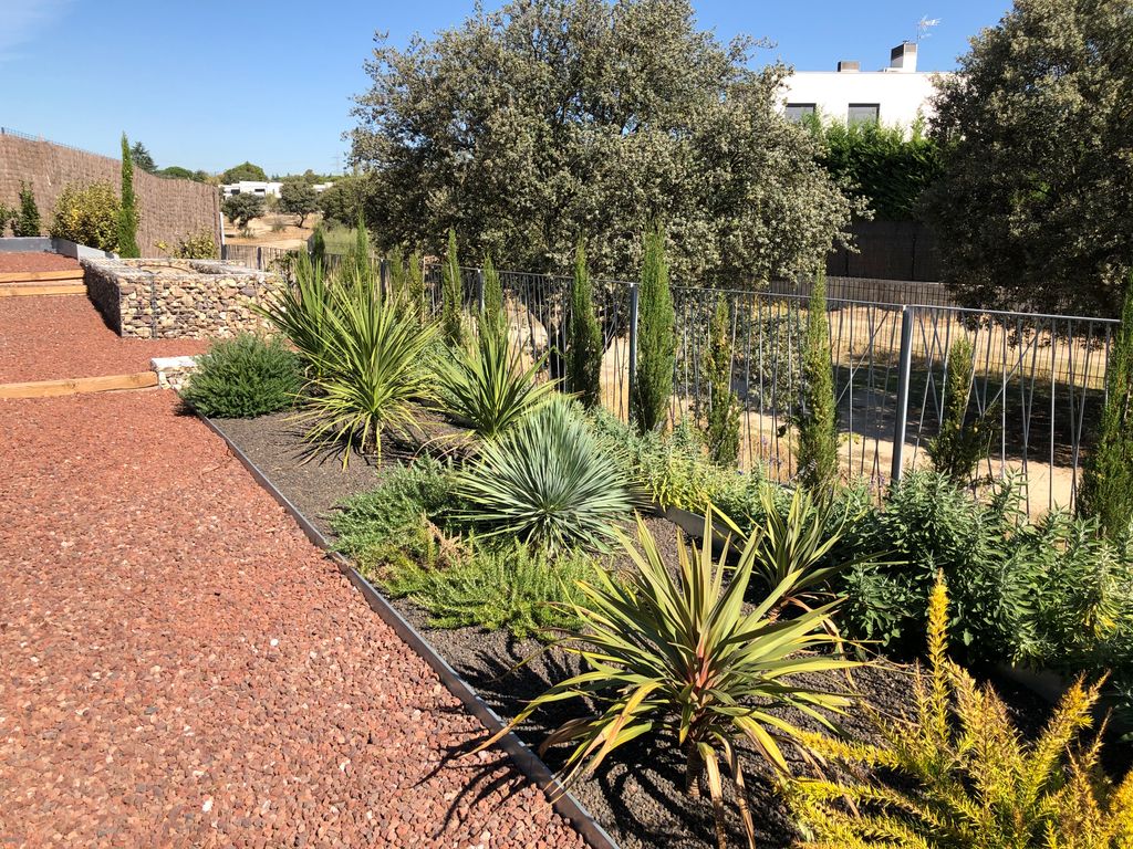 Jardín canario en una localidad de Madrid