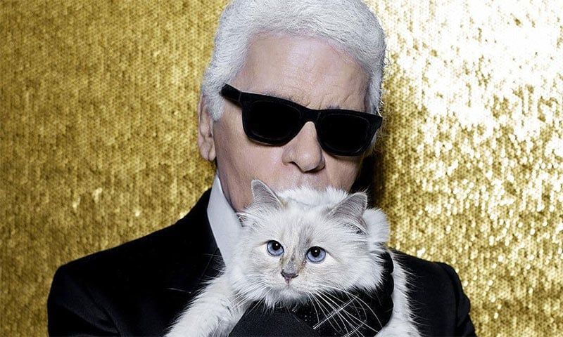 t choupetteherederatrabjonuevo t