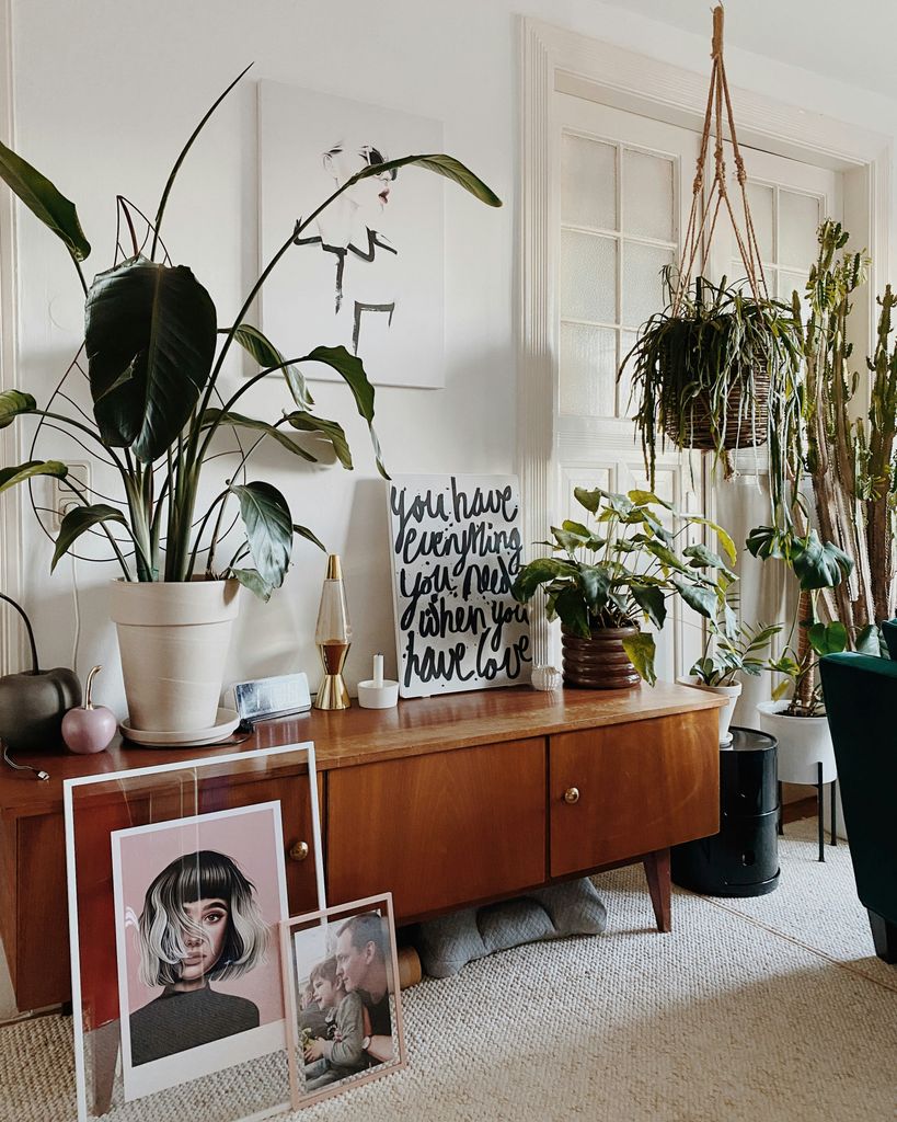 Aparador con plantas