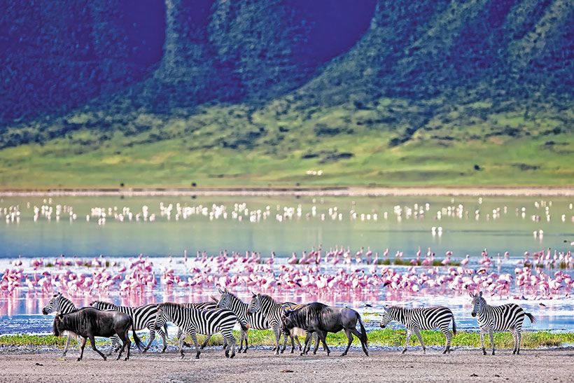 Tanzania