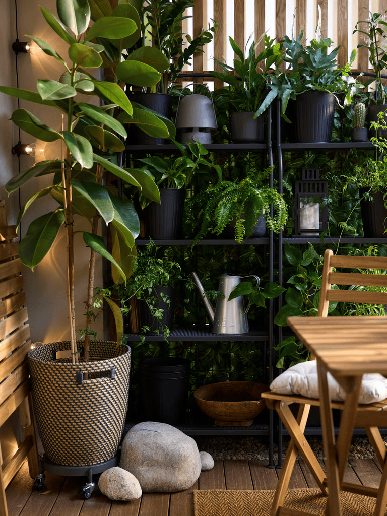 Plantas en el balcón