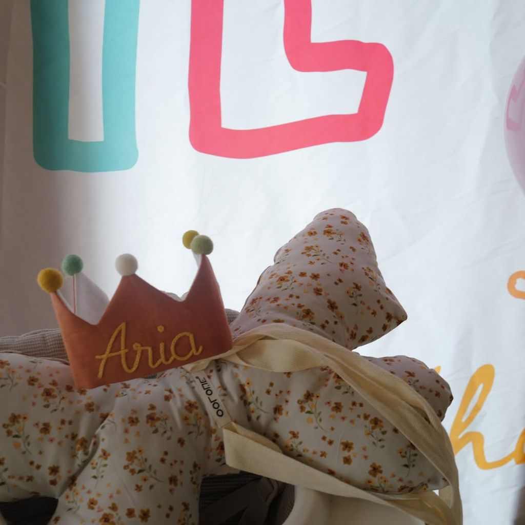 Aria es la primera hija de Ana Brenda Contreras y Zacarías Melhem