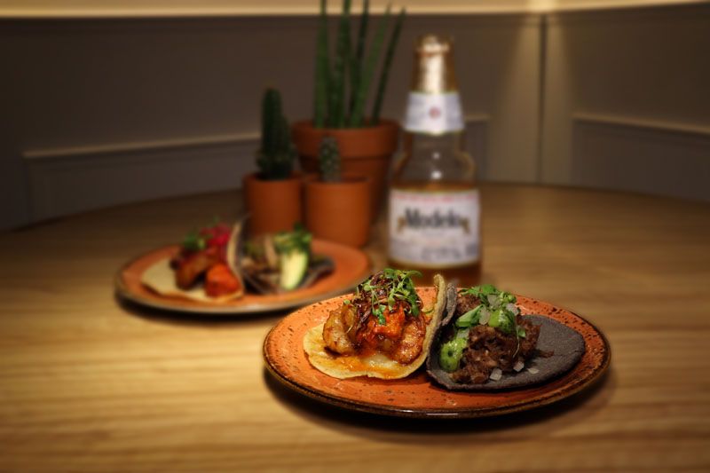 taco-gobernador-estilo-tepic