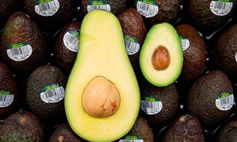 aguacate1