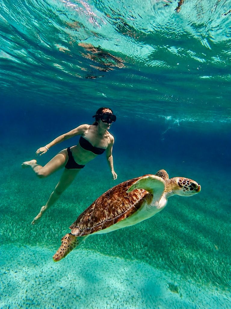 Sara Rubio, nadando entre tortugas en Akumal