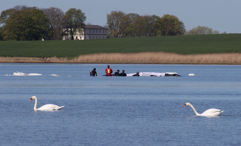 Media Image