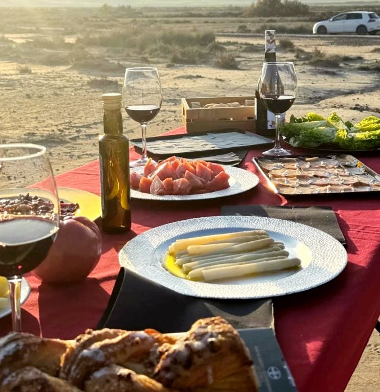 Aperitivo en Bardenas Reales, activad organizada por Activa Experience