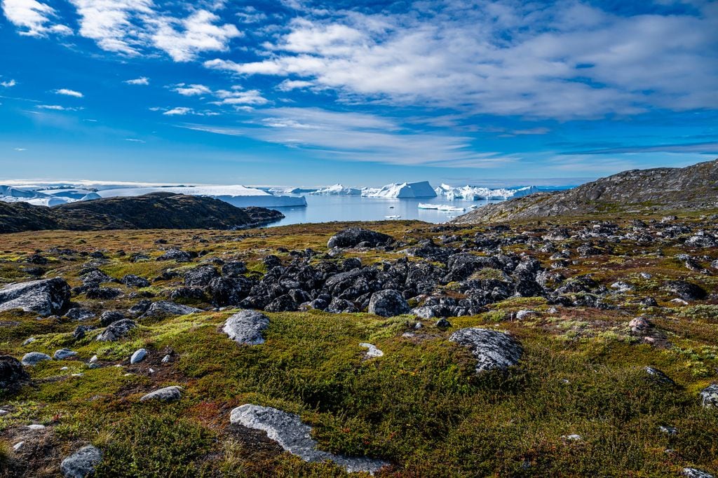 Ecosistema de Groenlandia 