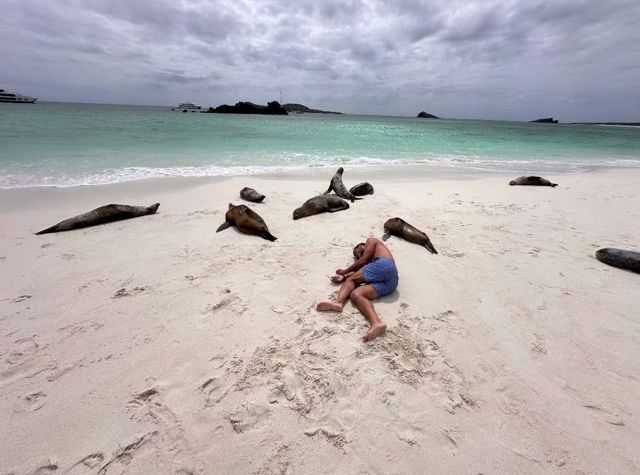 Jota Cabrera, novio de Sara Carbonero, rodeado de leones marinos en las islas Galápagos