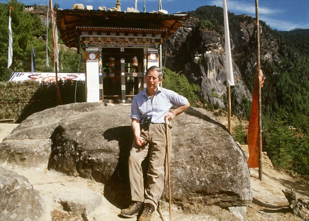 Media Image