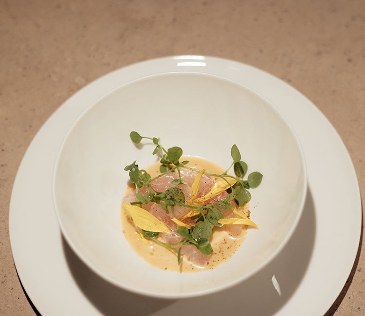 tiradito-pargo