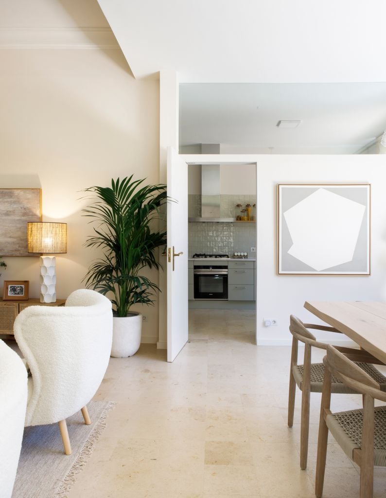 Salón con planta grande.