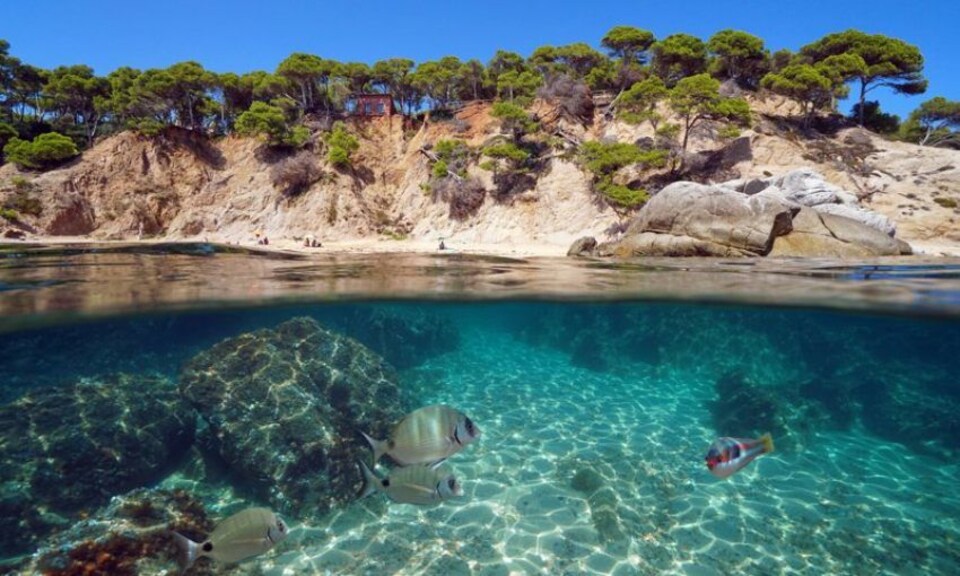 Por la carretera más bonita de la Costa Brava
