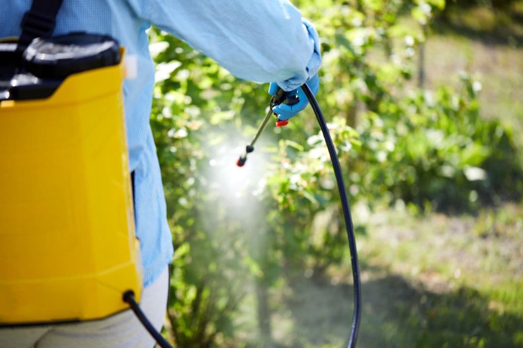 Fumigar el jardín con fitosanitarios