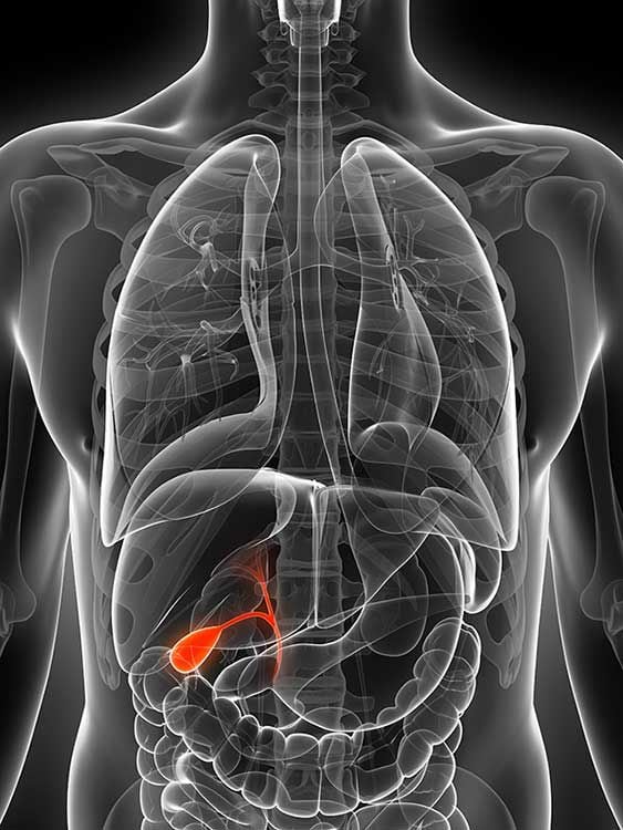 imagen radiográfica de la vesícula