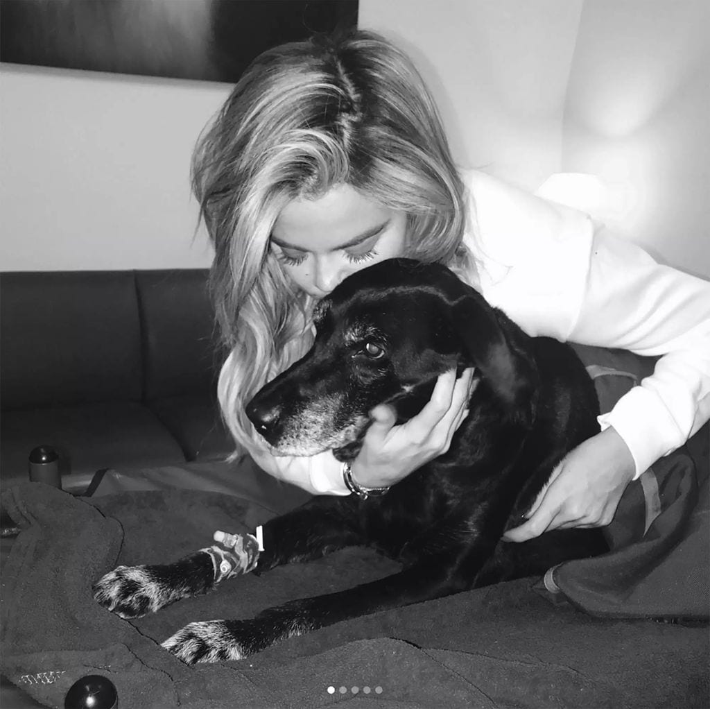 Khloe Kardashian despidió a su perrita Gabbana en enero de 2018.