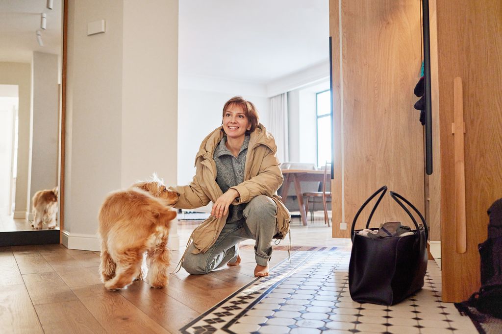 Que un perro salte, ladre o llore al vernos llegar no siempre significa solo alegría: también puede haber excitación, alivio, apego o ansiedad