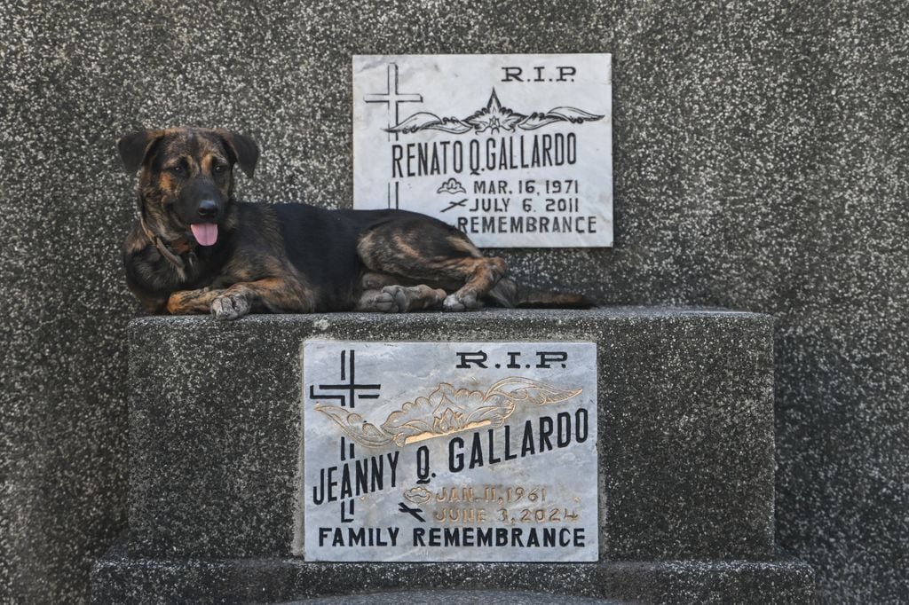 Cada vez más familias permiten que sus mascotas participen en la despedida de sus dueños, reconociendo el vínculo profundo que los une