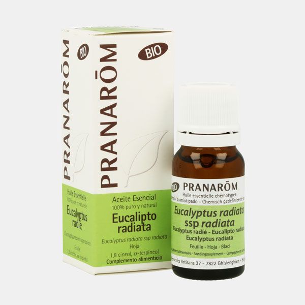 pranarom aceite eucalipto