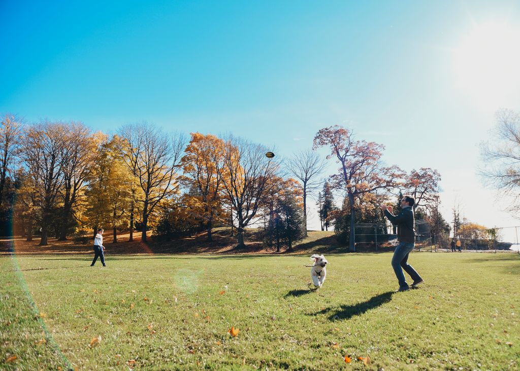 Padre e hijo jugando en un parque donde hay un perro