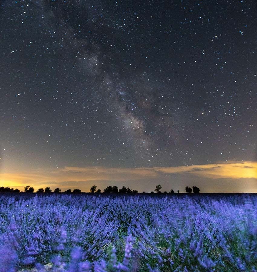 Observación de estrellas junto a los campos de lavanda de Tiedra, Valladolid