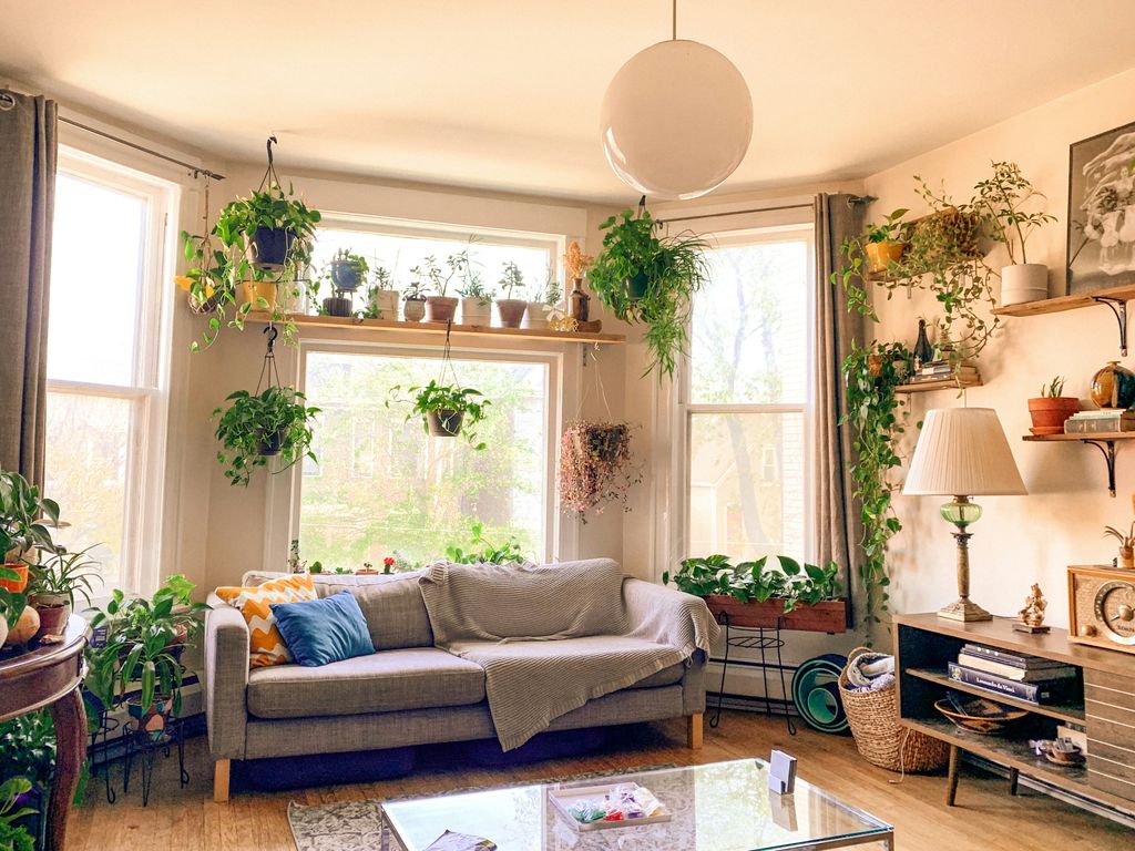 Salón con una importante presencia de plantas bien cuidadas, incluso de porte colgante