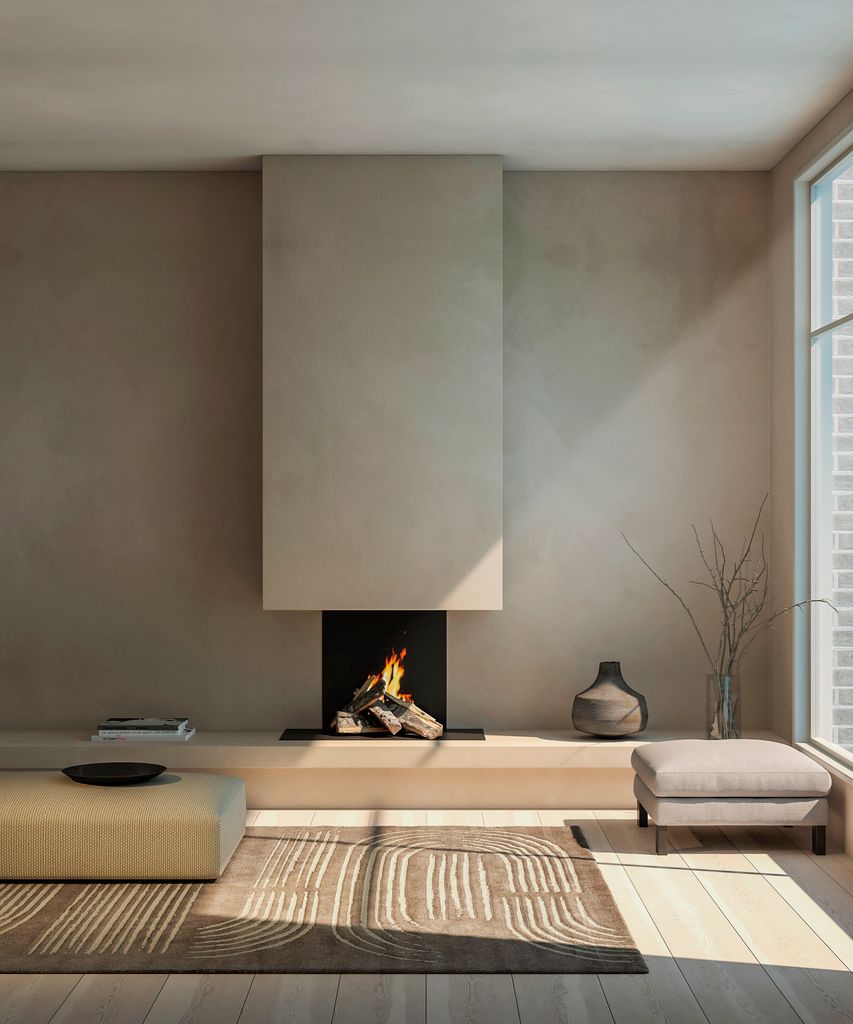 Salón con chimenea y alfombra