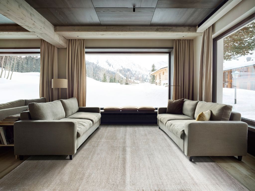 Salón de invierno con alfombra