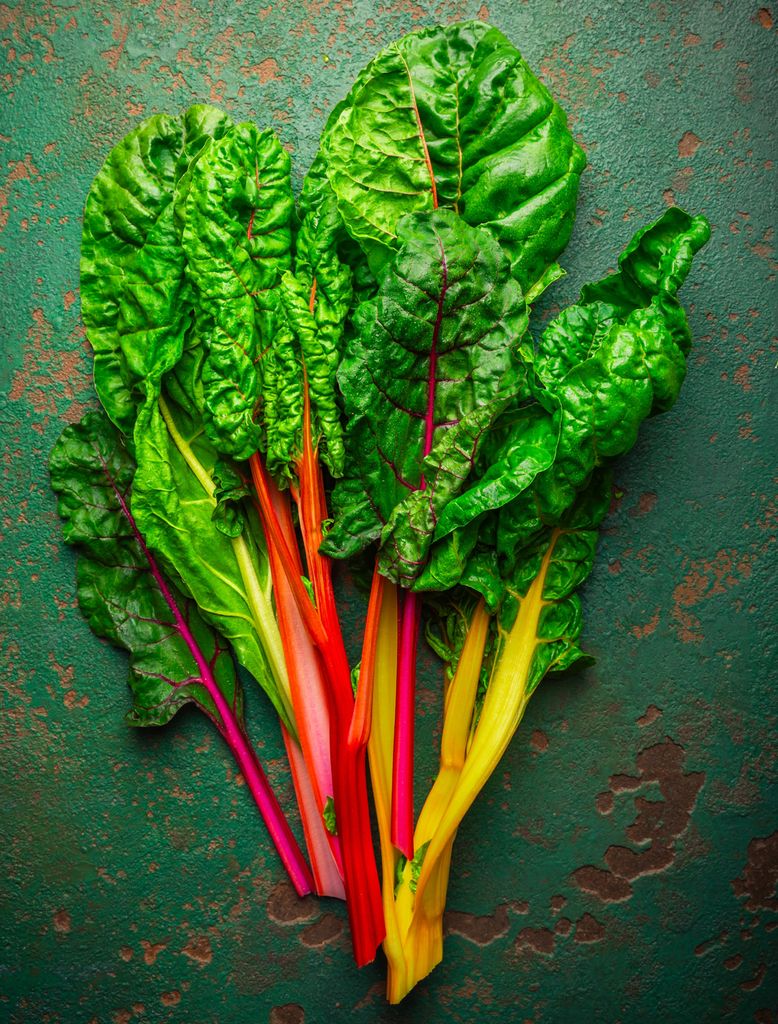 Acelga arcoíris, una variedad de acelga caracterizada por sus pencas de colores vivos.