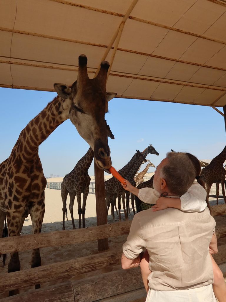 Desde los brazos de su padre, Blu pudo alimentar a las jirafas.