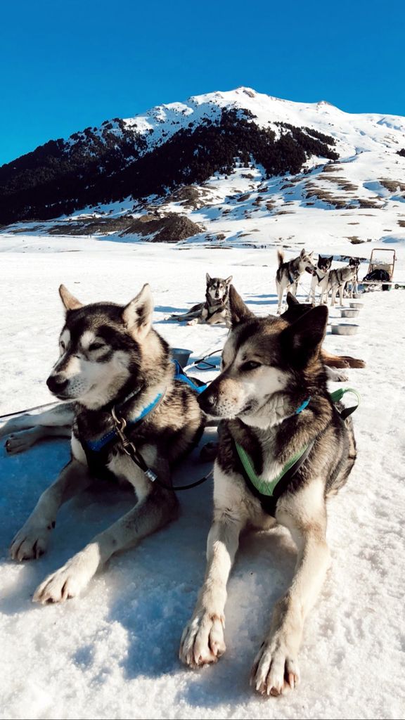 Siempre están disfrutando de planes impresionantes