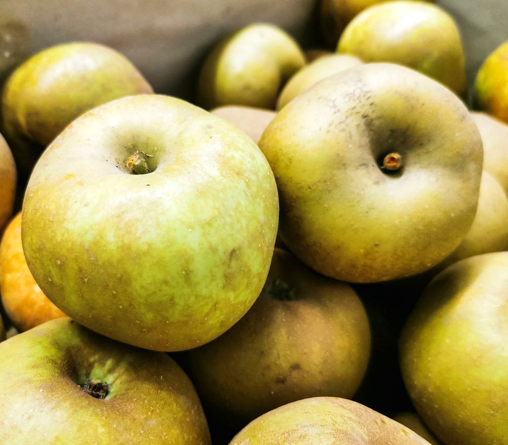 Manzanas de la variedad Reineta.