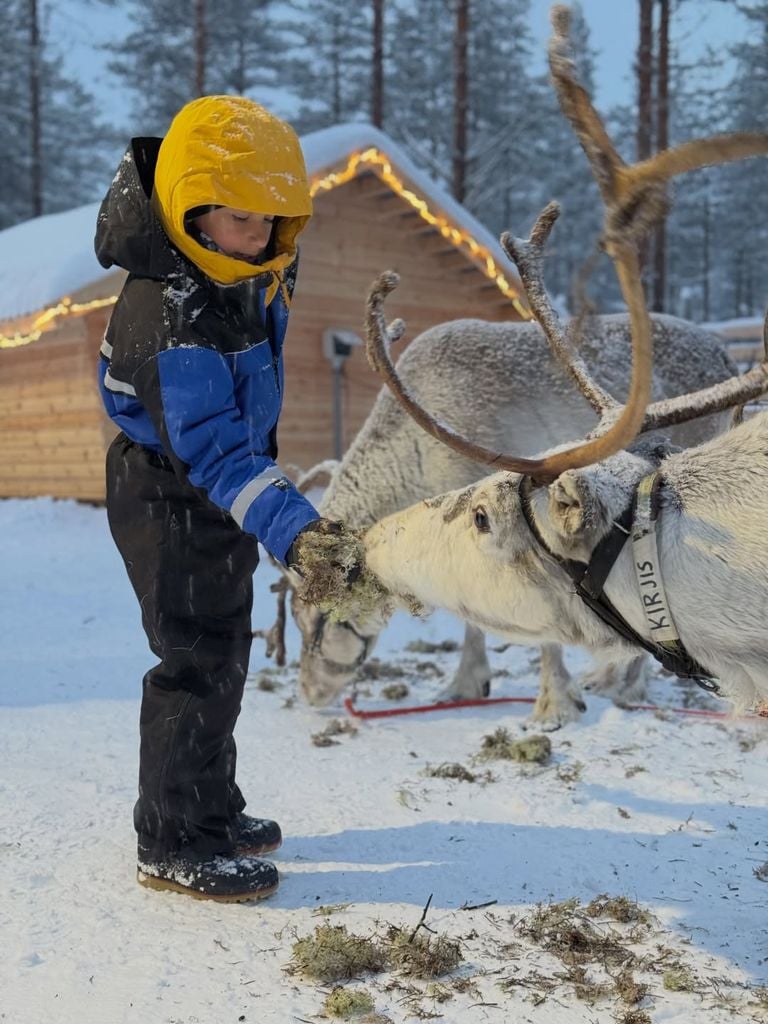 Patricio alimentando renos.