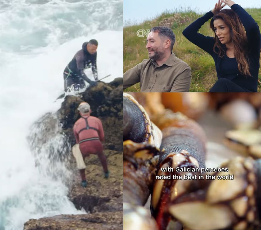 La actriz se lleva las manos a la cabeza al comprobar el riesgo que entraña la captura de los percebes, en el capítulo de 'Searching for Spain' rodado en Galicia.