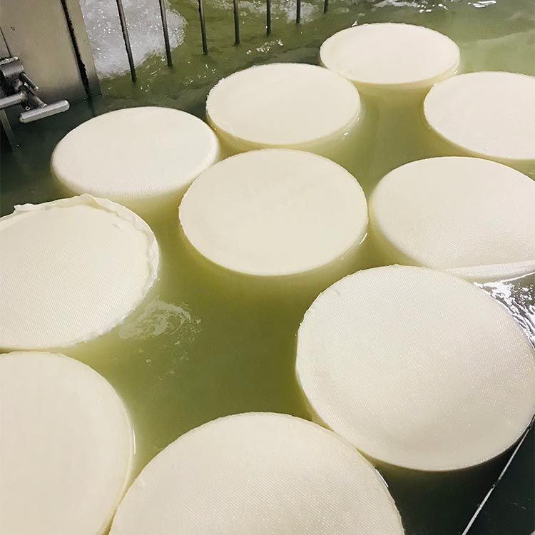 Elaboración del queso
