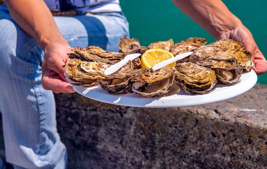 Ostras de Normandía, Francia