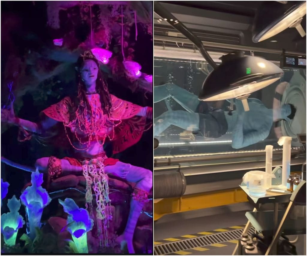 Toni Costa y su familia visitaron Pandora - The World of Avatar, en Walt Disney World.