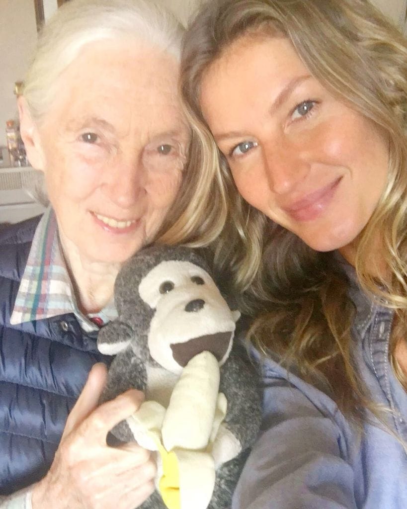Gisele le dedicó un emotivo mensaje a la famosa etóloga Jane Goodall.